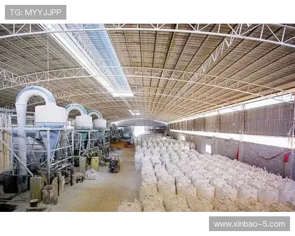 全面解析盈丰国际：行业地位与未来发展前景